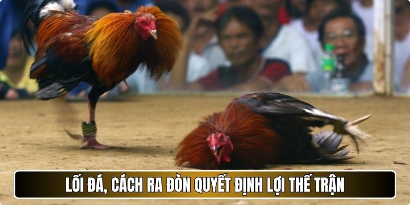 Lối đá, cách ra đòn quyết định lợi thế trận