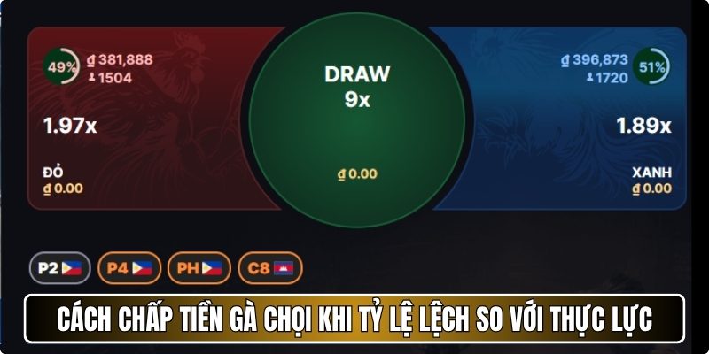 Cách chấp tiền gà chọi khi tỷ lệ lệch so với thực lực