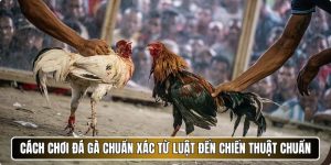 Cách Chơi Đá Gà