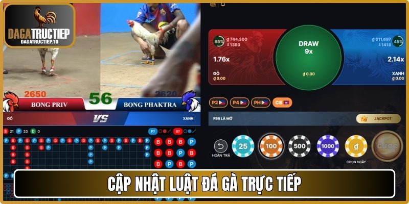 Cập nhật luật đá gà trực tiếp