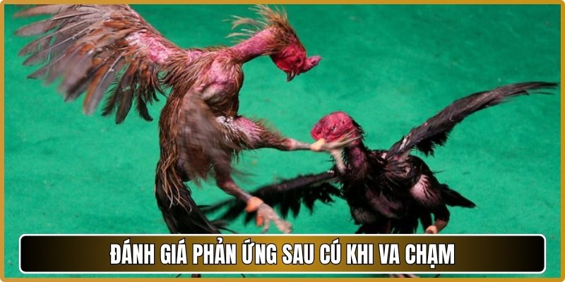 Đánh giá phản ứng sau cú khi va chạm