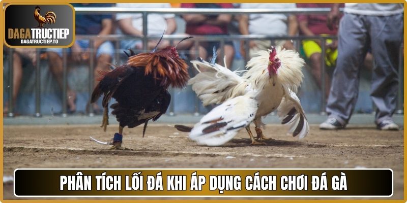 Phân tích lối đá khi áp dụng cách chơi đá gà