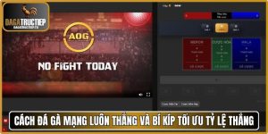 Cách đá gà mạng luôn thắng