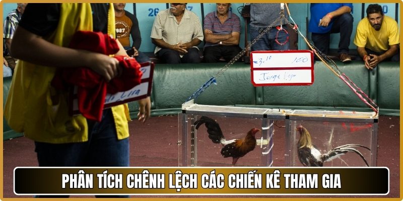 Phân tích chênh lệch các chiến kê tham gia