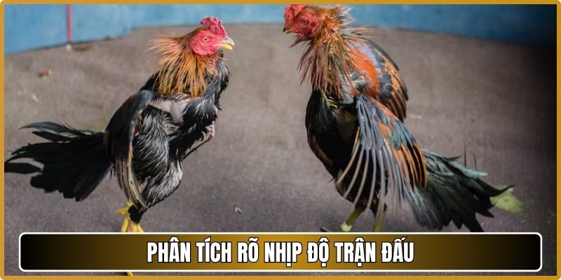 Phân tích rõ nhịp độ trận đấu