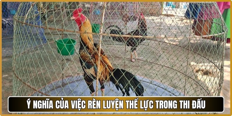 Ý nghĩa của việc rèn luyện thể lực trong thi đấu