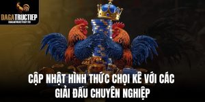 Cập nhật hình thức chọi kê với các giải đấu chuyên nghiệp
