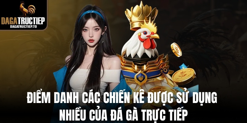 Điểm danh các chiến kê được sử dụng nhiều của đá gà trực tiếp
