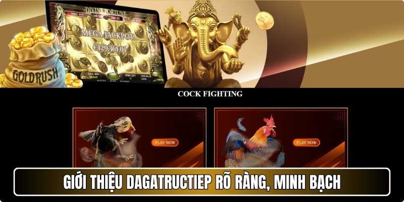 Giới thiệu Dagatructiep rõ ràng, minh bạch