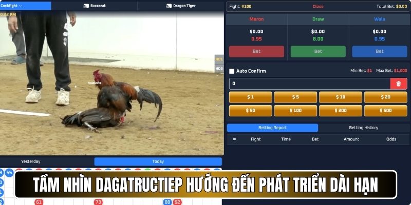 Tầm nhìn Dagatructiep hướng đến phát triển dài hạn