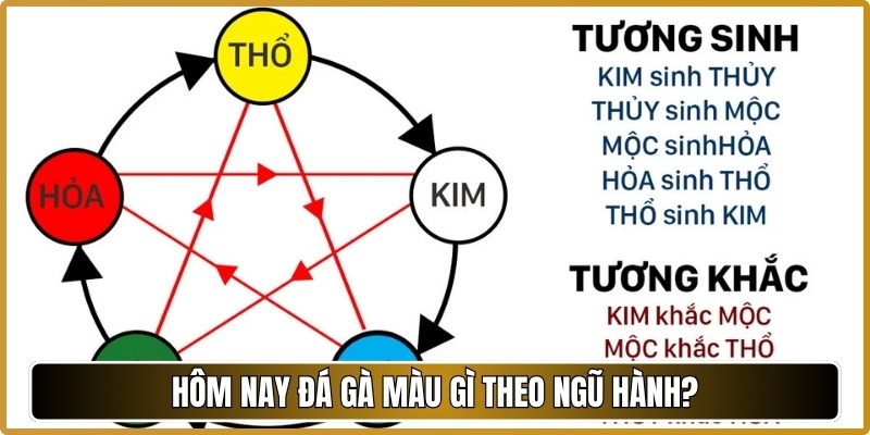 Hôm nay đá gà màu gì theo ngũ hành?