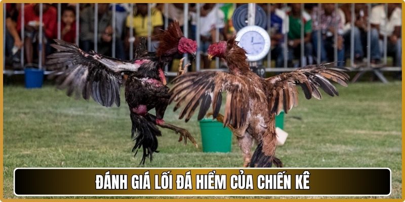 Đánh giá lối đá hiểm của chiến kê