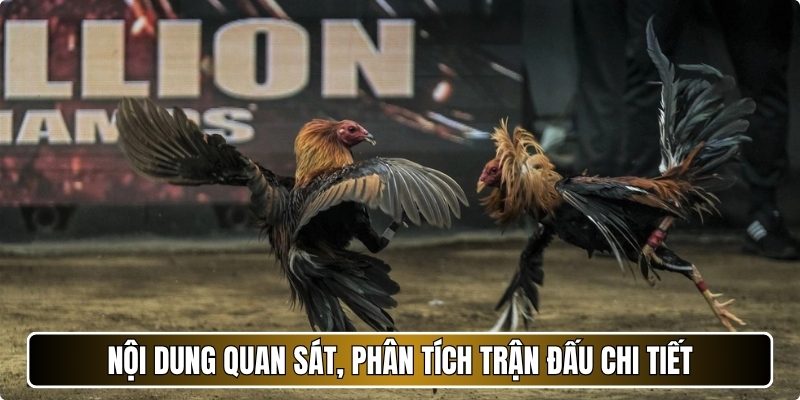 Nội dung quan sát, phân tích trận đấu chi tiết