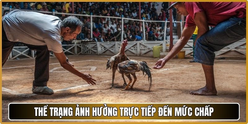 Thể trạng ảnh hưởng trực tiếp đến mức chấp
