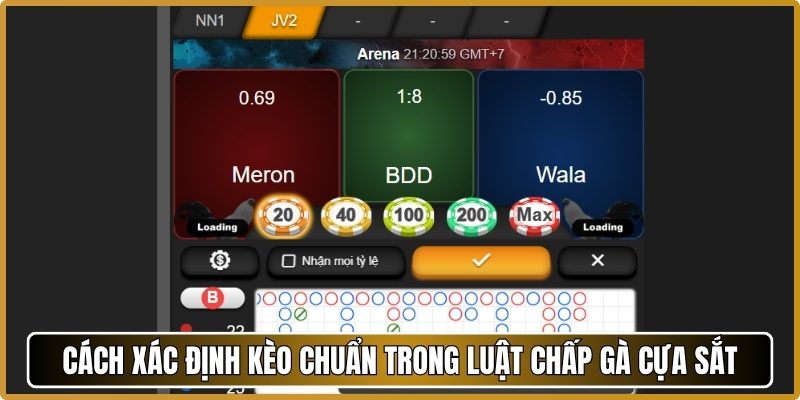 Cách xác định kèo chuẩn trong luật chấp gà cựa sắt