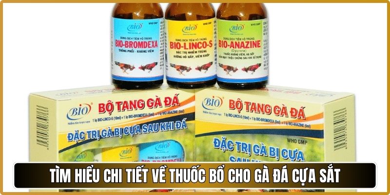 Tìm hiểu chi tiết về thuốc bổ cho gà đá cựa sắtv