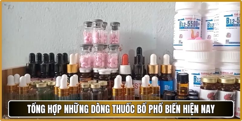 Tổng hợp những dòng thuốc bổ phổ biến hiện nay