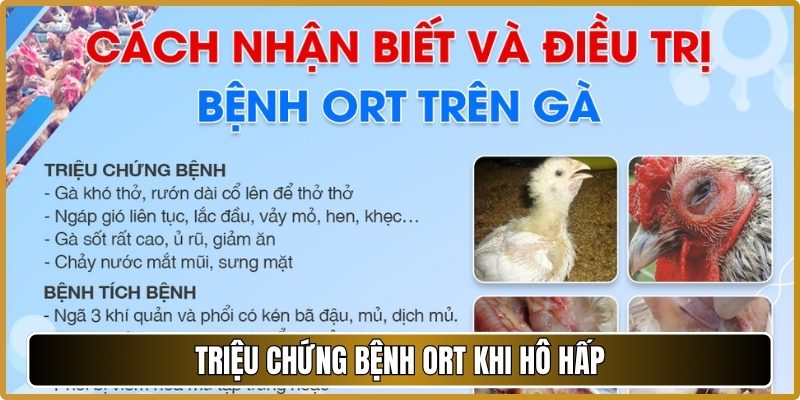 Triệu chứng bệnh ORT khi hô hấp