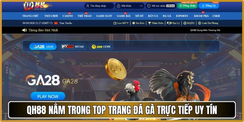 Đường truyền ổn định khi xem đá gà trực tiếp