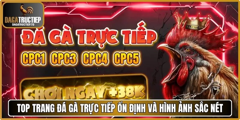 Top trang đá gà trực tiếp