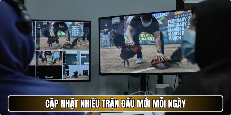 Cập nhật nhiều trận đấu mới mỗi ngày