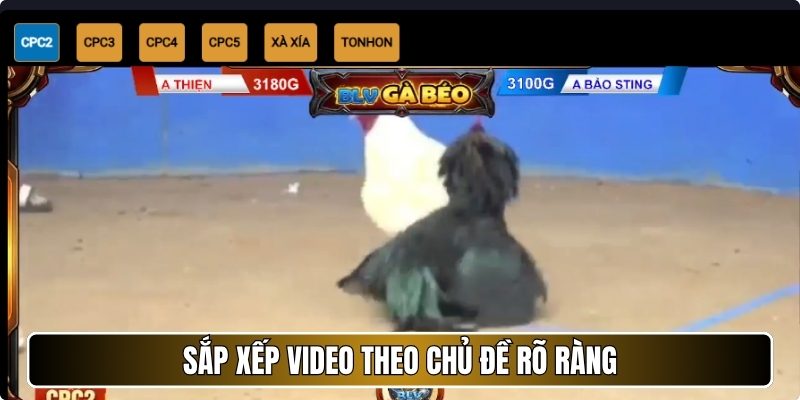 Sắp xếp video theo chủ đề rõ ràng
